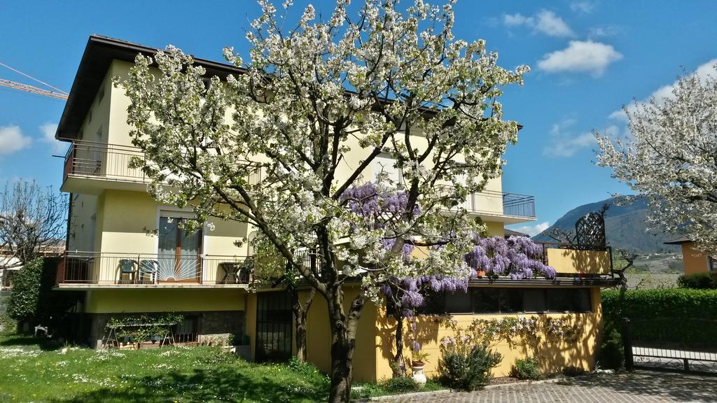 Casa Ferrari Monica Apartamento Calceranica al Lago Exterior foto